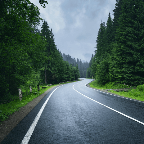 Вести МСФО, октябрь – декабрь 2025 г.